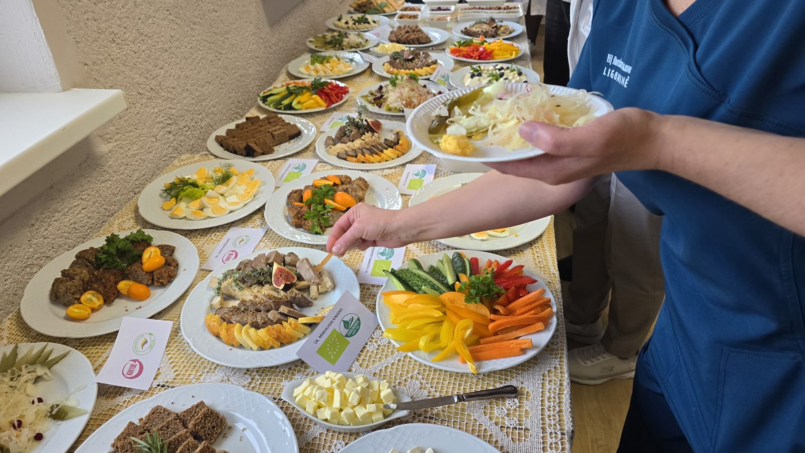 20261005